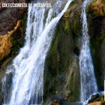 Elementos agua y tierra, predominantes en Kapha