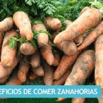 Beneficios de Comer Zanahorias