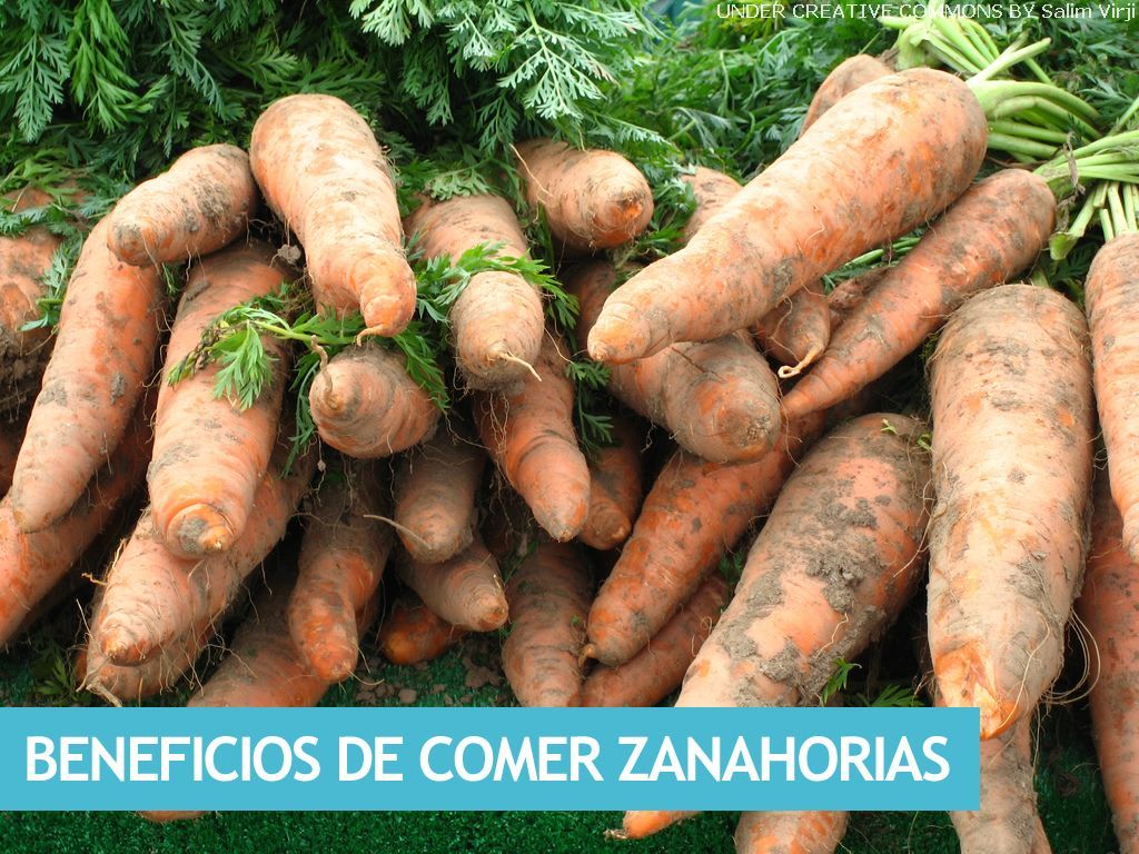 Beneficios de Comer Zanahorias